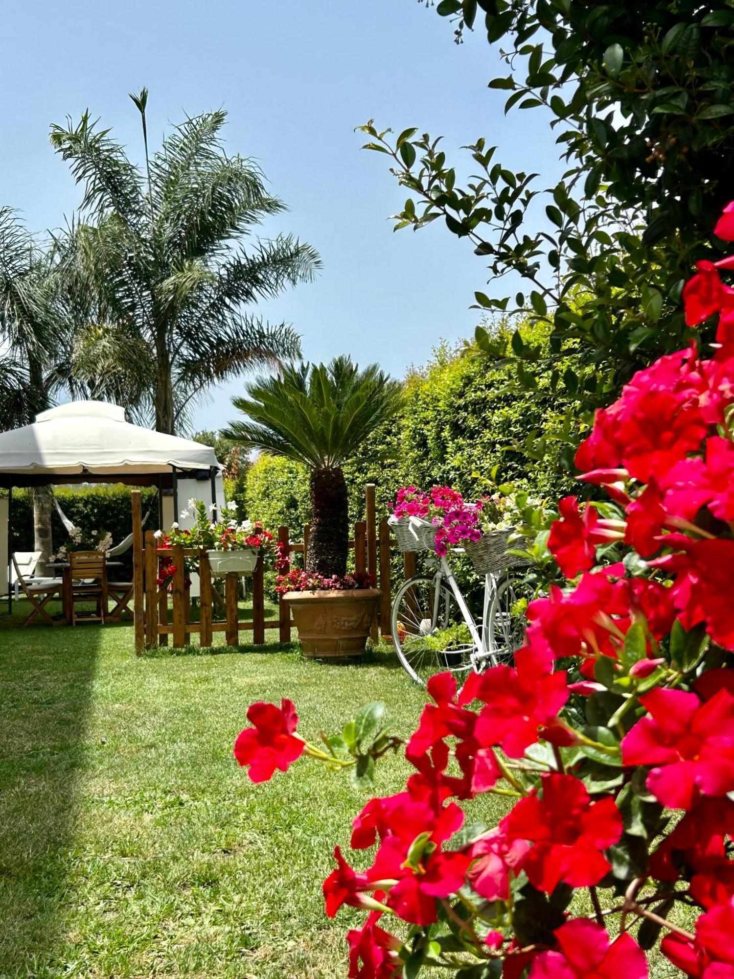 Ferienwohnung Alto Giardino Zambrone Exterior foto