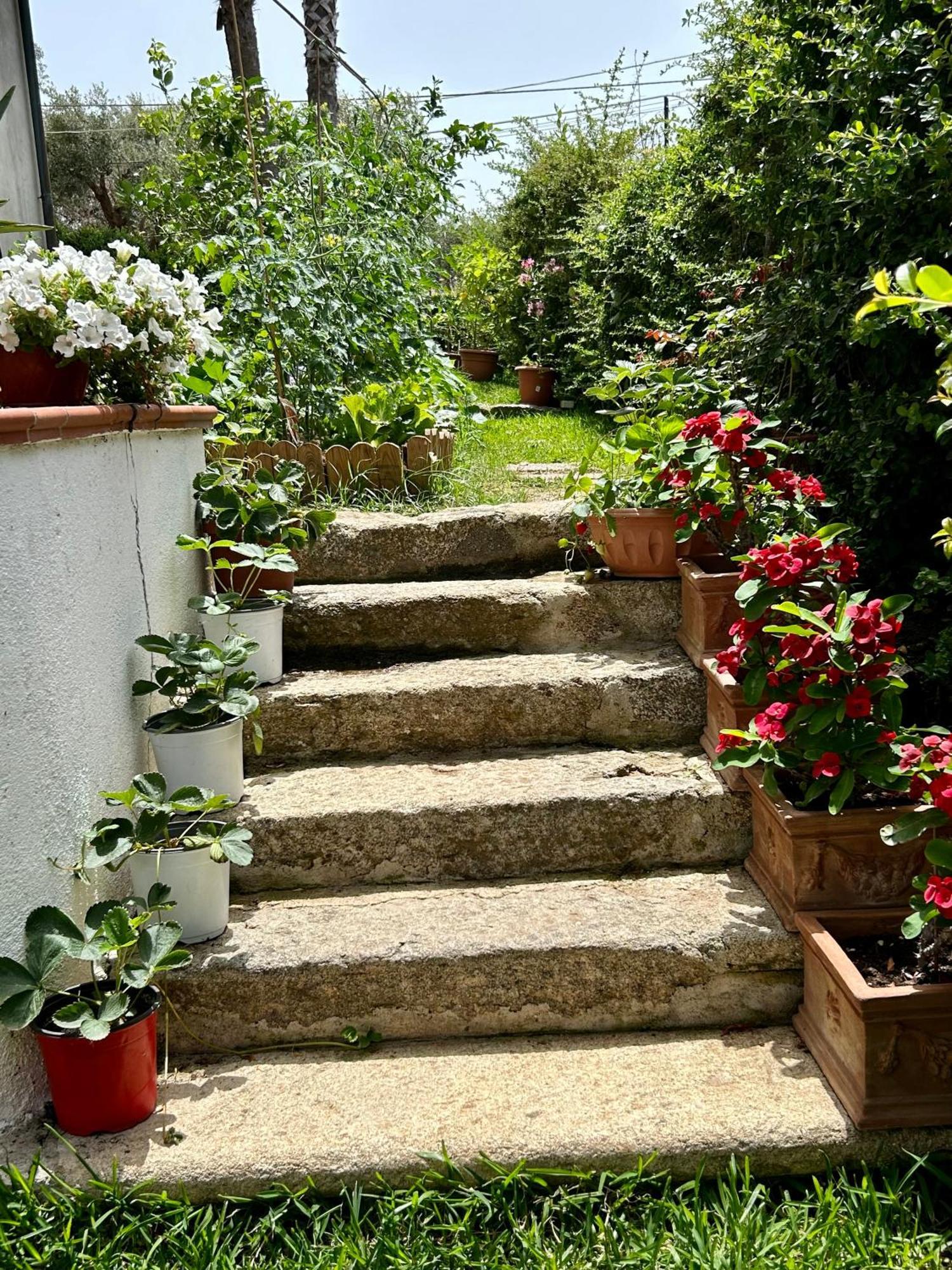 Ferienwohnung Alto Giardino Zambrone Exterior foto